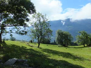 LE BIOLEY-SAVOIA (5)