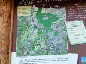 LE BIOLEY-SAVOIA (50)