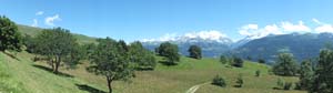 LE BIOLEY-SAVOIA (52)