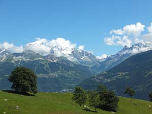 LE BIOLEY-SAVOIA (53)