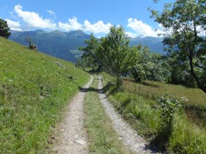 LE BIOLEY-SAVOIA (56)