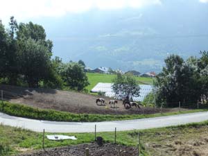 LE BIOLEY-SAVOIA (61)
