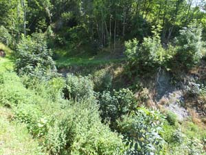 LE BIOLEY-SAVOIA (75)