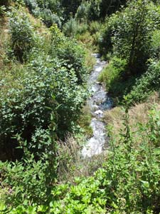 LE BIOLEY-SAVOIA (84)