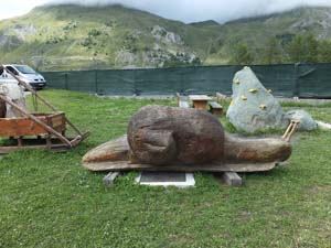 PICCOLO SAN BERNARDO (1)