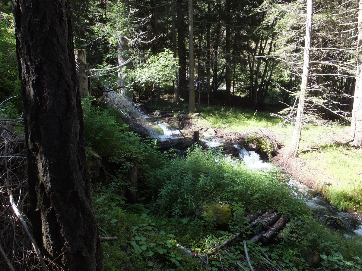 SAINT OYEN (25)