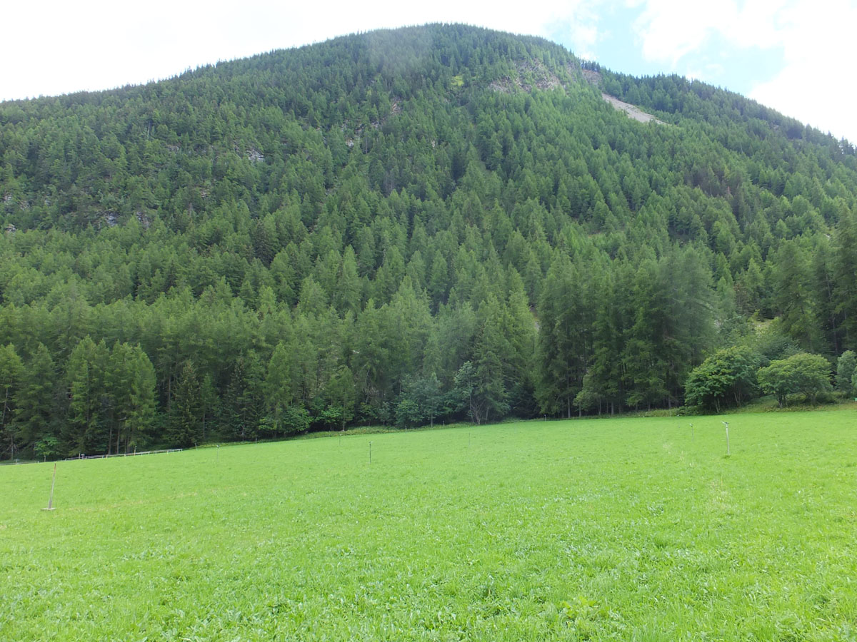 SAINT OYEN (3)