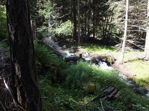 SAINT OYEN (25)