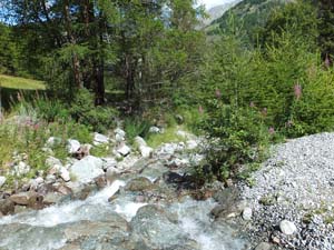 SAINT OYEN (30)
