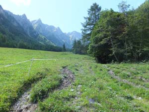 SAINT OYEN (35)