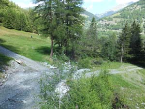 SAINT OYEN (37)