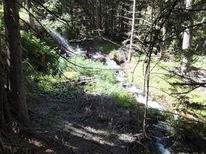 SAINT OYEN (40)