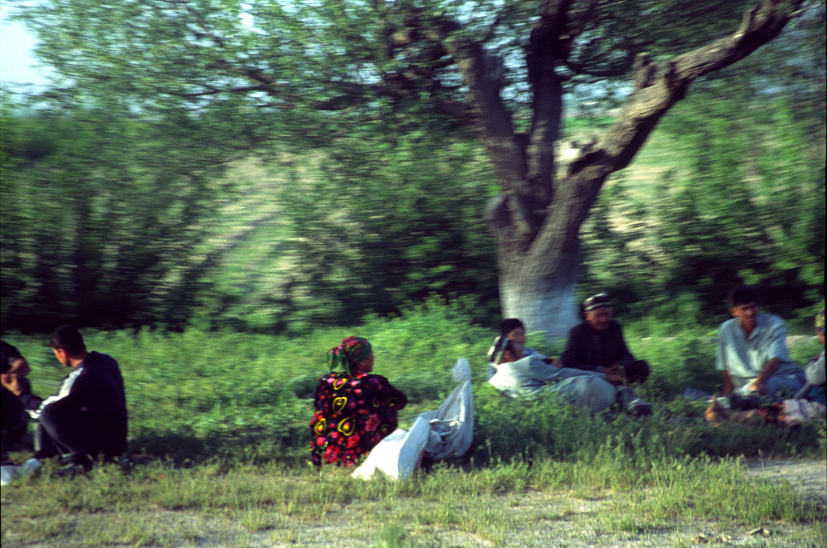 03-UZBEK.BUKARA.2003JPG2484