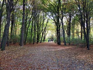 Grober Tiergarden (9)