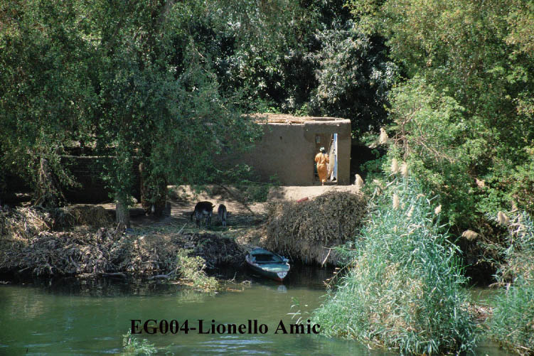 Lungo il Nilo