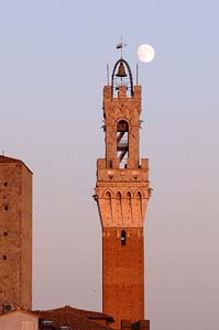 DSCF6262