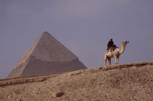 GIZA