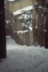 siena