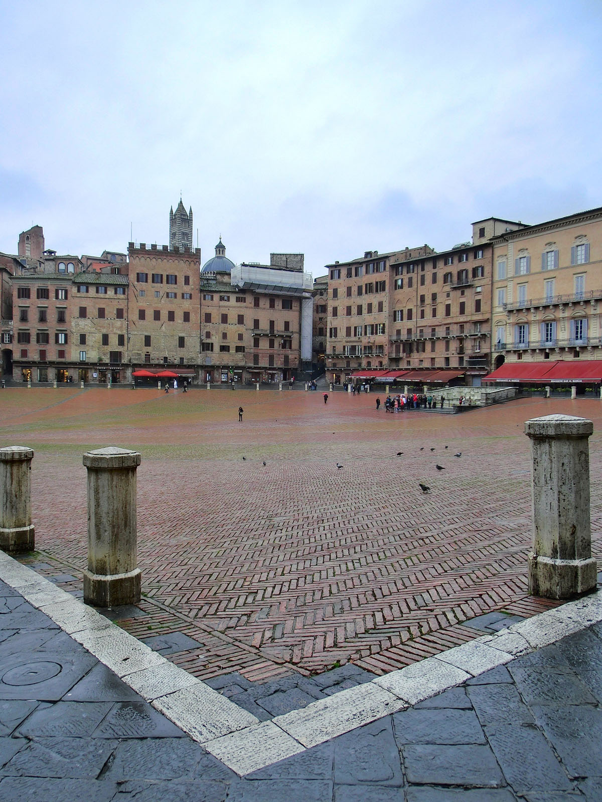 Siena Sempre New (t)